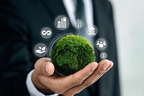 Pioneering-sustainability
